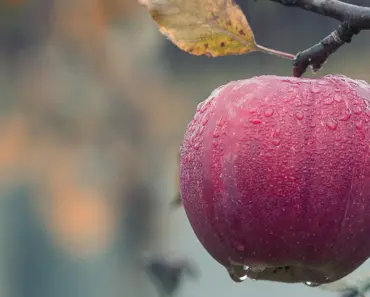 Apple Fixes Shocking Bug That Let Cops Extract Deleted iPhone Chats: 9 Revelations