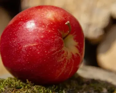 “Apple TV Executive Behind ‘Monarch: Legacy of Monsters’ Flies to Amazon for New…