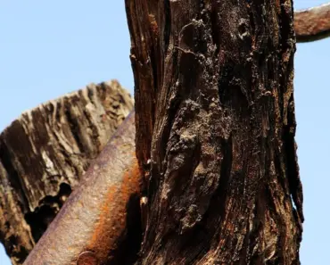 Snag a Free $100 Amazon Gift Card with Samsung Galaxy Watch Ultra Purchase