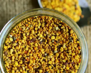 OpenAI loses product chief, Sora head, and enterprise CTO in single-day triple exit