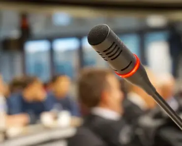 Meet Bruce, the Amazing Beak-Jousting Parrot: 9 Feats of Fowl Finesse