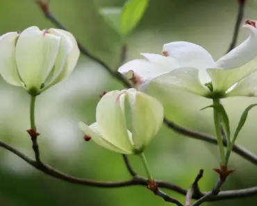 Florida Opens First Criminal Probe into OpenAI: 5 Key Takeaways from the AI Giant’s…