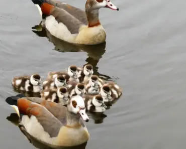Egyptian Archaeologists Uncover 7 Secrets of the Mysterious, Perfectly Circular Temple…