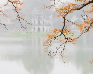 Cursor in talks to raise $2B at $50B valuation after hitting $2B ARR in three years