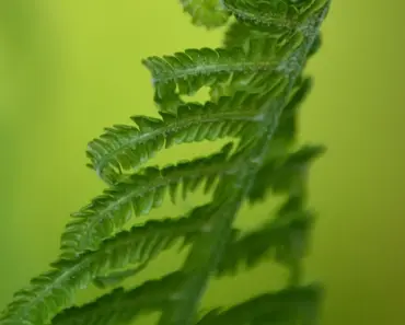 Why May May Bring Early Summer to the West