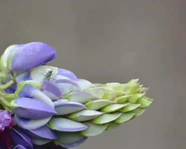 Wait to Get Murdered by Flowers: 5 Rad Horror Tips Wait to Get Murdered by Flowers: 5 Rad Horror Tips