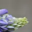 Wait to Get Murdered by Flowers: 5 Rad Horror Tips