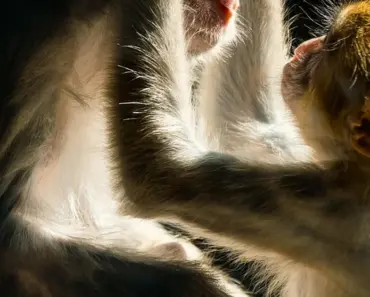 5 Ways First Light’s James Bond Evolves Beyond 5 Ways First Light’s James Bond Evolves Beyond