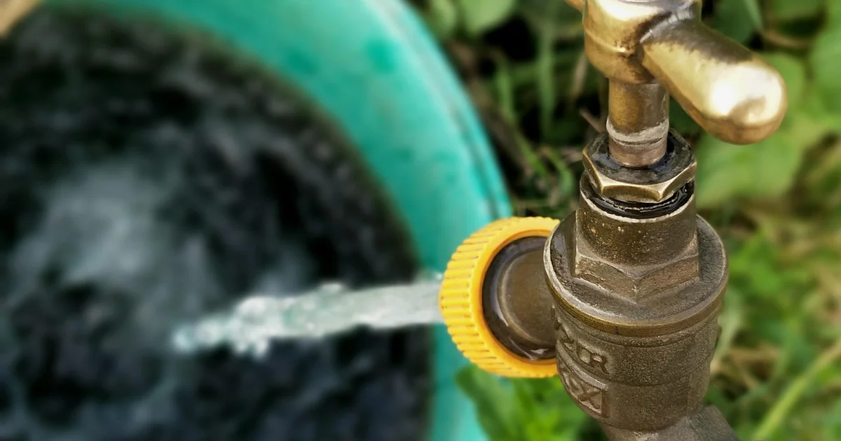 best water leak detectors
