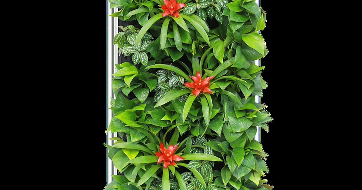 best air purifiers 2026