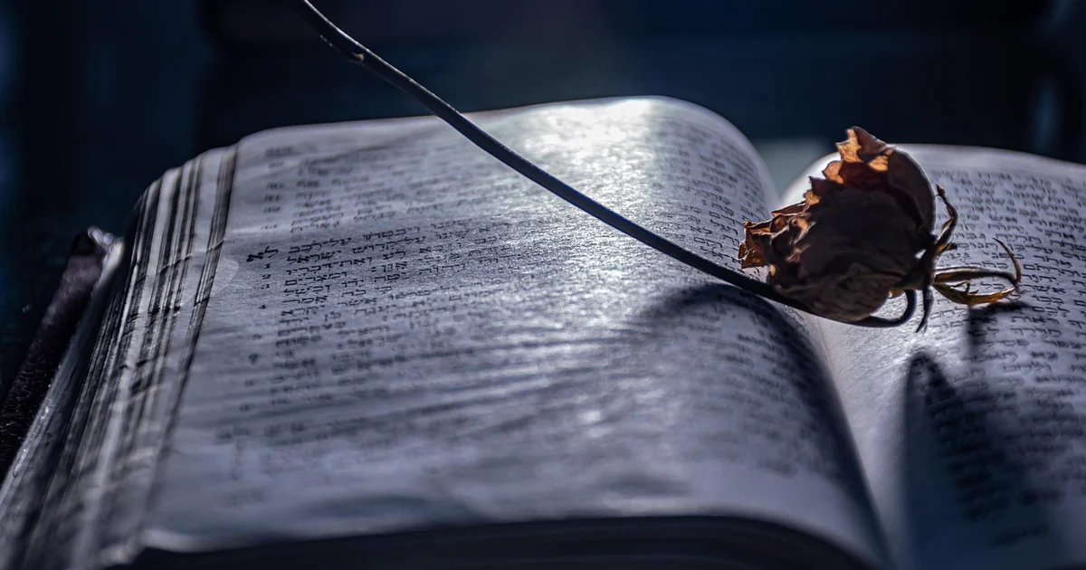 new books may