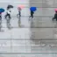 5 Ways Wet Weather in Argentina Fueled Hantavirus