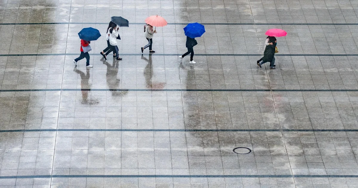 wet weather hantavirus argentina