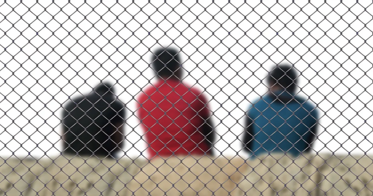 wrongful deportation stories