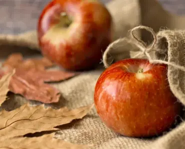Apple Fall Launch: 15+ New Products, Here’s What