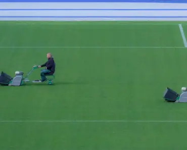 Exclusive: Gardening Experts Answer 5 Lawn Care Questions