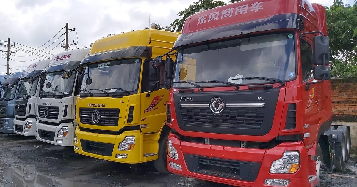 bolt dongfeng ev fleet