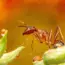 Just Discovered: 5 Surprising Kitchen Spots That Lure Ants