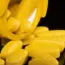 Could This Be the Moment Drug Manufacturing Takes Off?