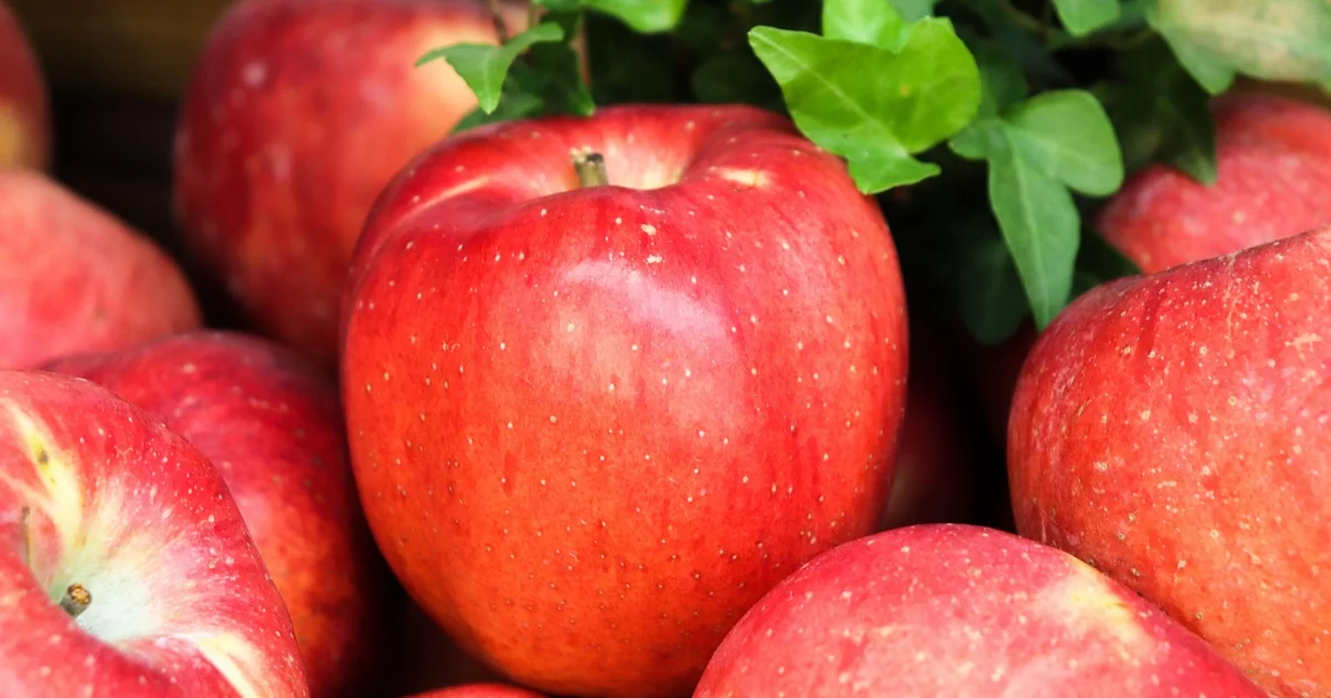 apple product deals
