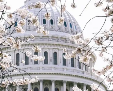 Congress Investigates Canvas Breach After ShinyHunters Deal