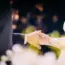 Meet the 7 Sad Wives of AI