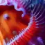 Nebius Acquires Eigen AI for $643M to Boost Inference