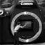 7 Reasons Camera Sensor Sizes Matter
