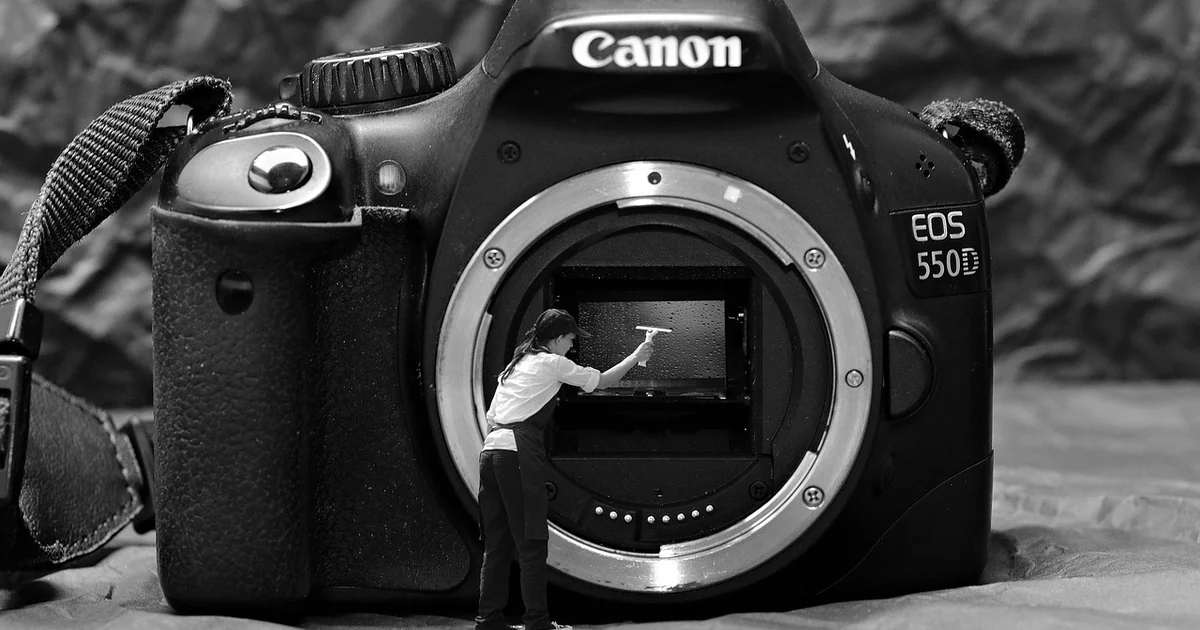 camera sensor size importance