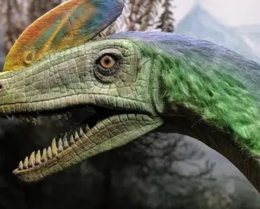 Meet the 7-Meter Cretaceous Kraken That Swam With Mosasaurs