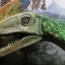Meet the 7-Meter Cretaceous Kraken That Swam With Mosasaurs
