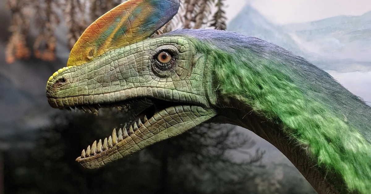 cretaceous kraken