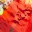 Enough with AI FOMO: Go Slow-Mo, Says Domo CDO