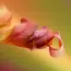 Gardening Experts Reveal the Only Time Vinegar Kills Weeds