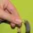 5 Brain-Linked Hearing Aids Could Tune Focus