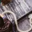 From Prompt to Pull Request: 5 Ways Using Claude & GitHub