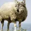 Mosyle Identifies 3 New macOS Threats Antivirus Misses