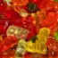 Get $20 Off Chewy May 2026: 5 Promo Codes
