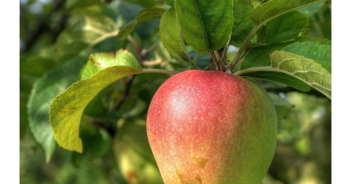 apple image generation boost
