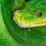7 Python Code Errors Fixed Fast