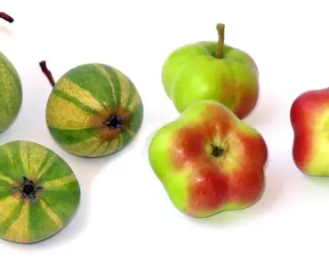 Google Reimburses Register Sources Hit by API Fraud