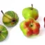 Google Reimburses Register Sources Hit by API Fraud