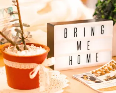 Airbnb Expands: Hotel Bookings, Even Grocery Deliveries