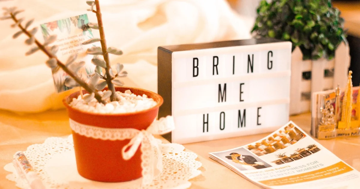 airbnb hotel bookings
