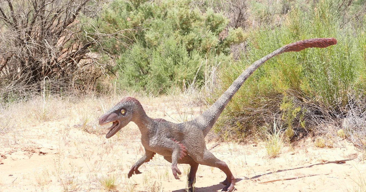 cretaceous kraken fossil