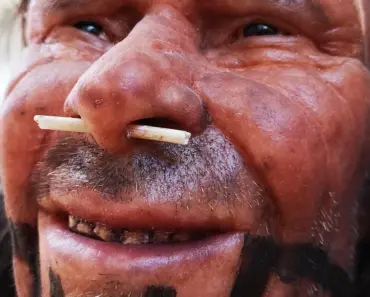 7 Surprising Facts: Neanderthal Brains Measure Up to Ours