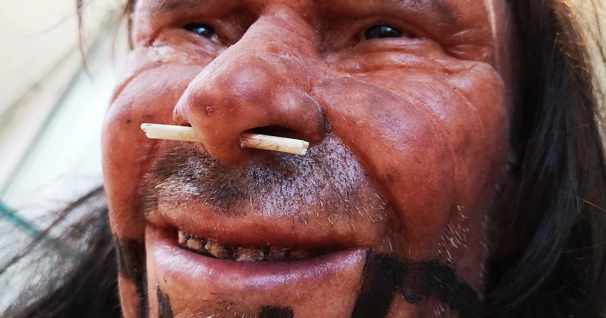 neanderthal brain size