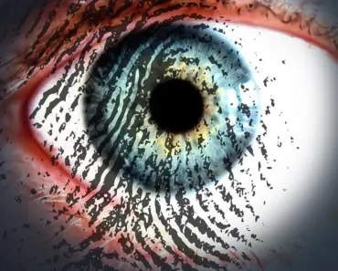 Reasons Convergence Isn’t Optional for Security Reasons Convergence Isn’t Optional for Security