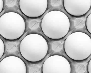 De-Extinction Company Makes Chickens Without Eggs: 3 Facts