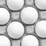 De-Extinction Company Makes Chickens Without Eggs: 3 Facts